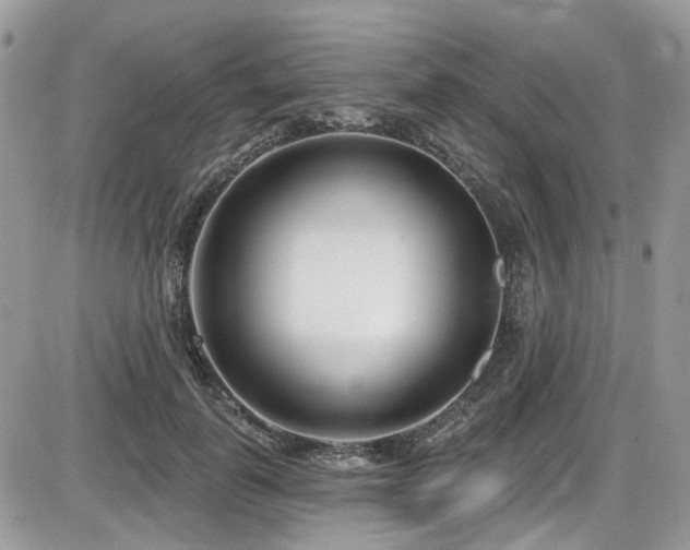 X0000086070747200703231307