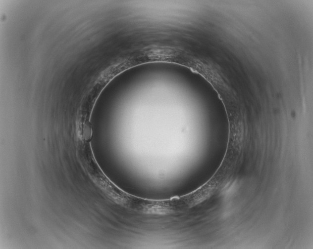 X0000086070755200703231307