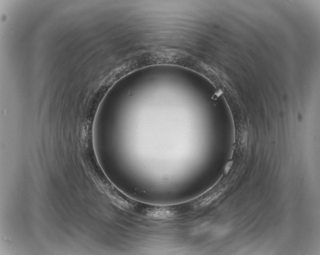 X0000086070759200703231307
