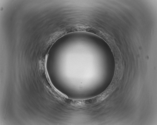 X0000086070768200703231307