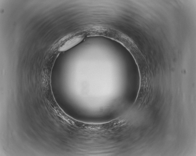 X0000086070773200703231306
