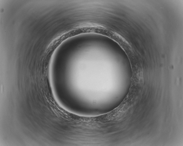X0000086070775200703231306