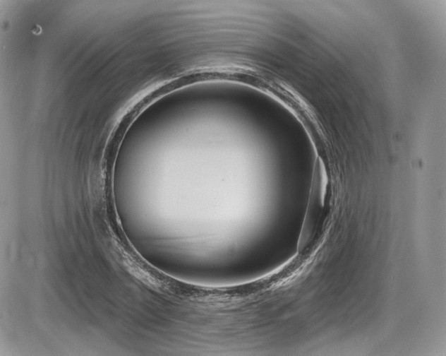 X0000086070779200703231306