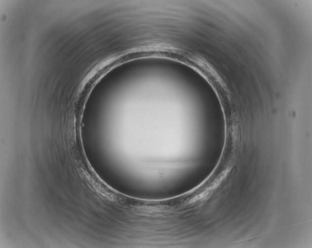 X0000086070781200703231306