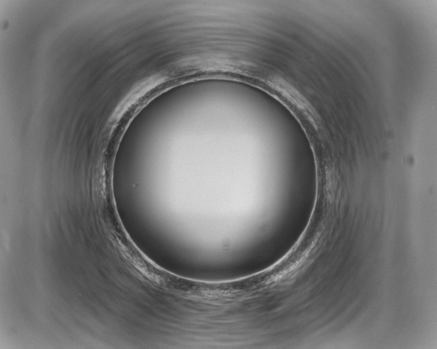 X0000086070782200703231306