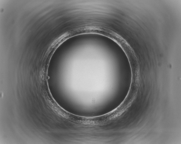 X0000086070785200703231306