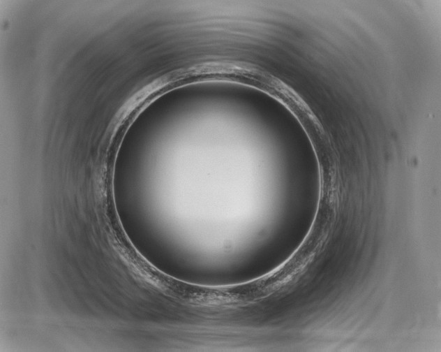 X0000086070786200703231306
