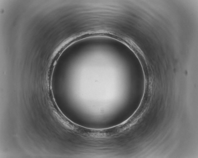 X0000086070789200703231306