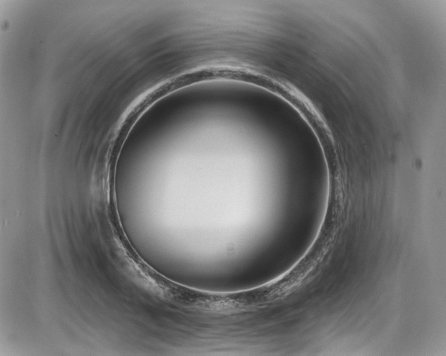 X0000086070791200703231306