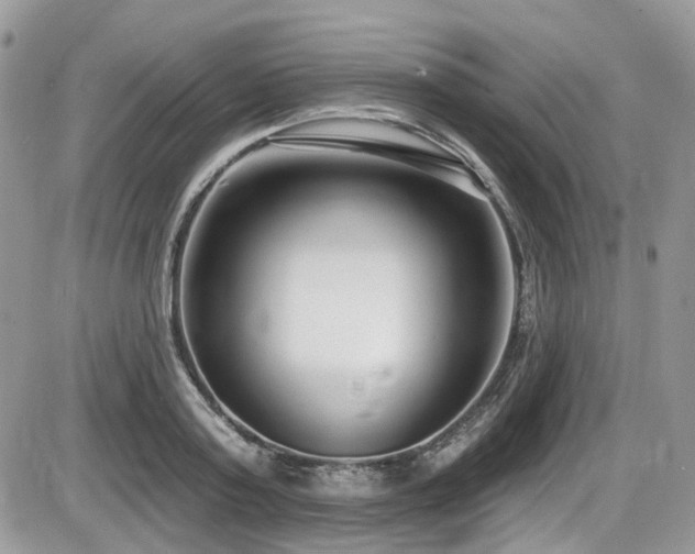 X0000086070795200703231306