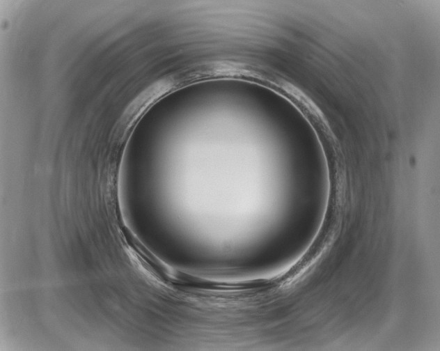 X0000086070801200703231306
