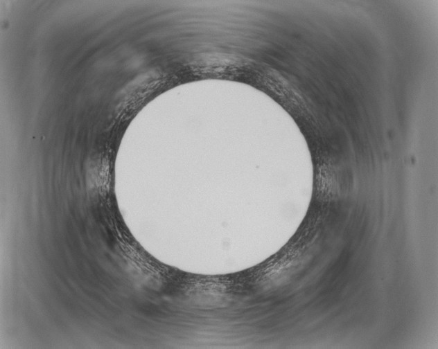 X0000086070820200703231305