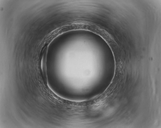 X0000086070821200703231305