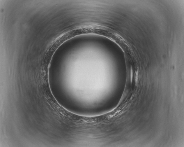 X0000086070822200703231305