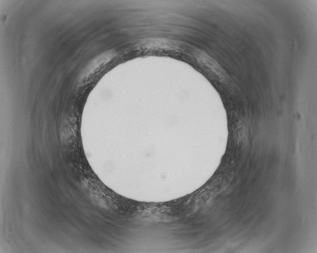 X0000086070824200703231305