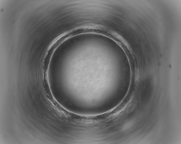 X0000086070829200703231305