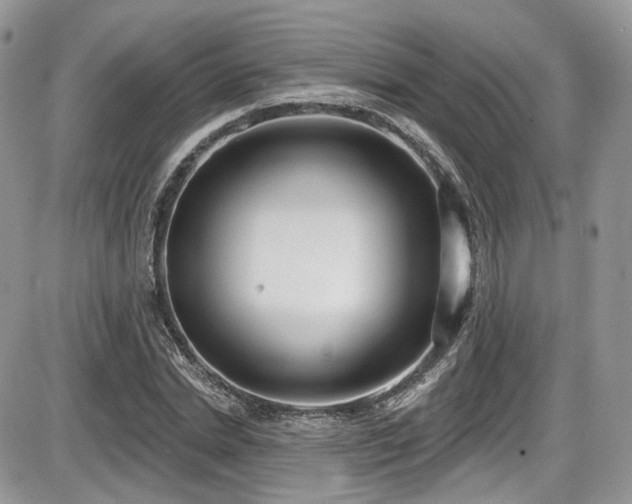 X0000086070830200703231305