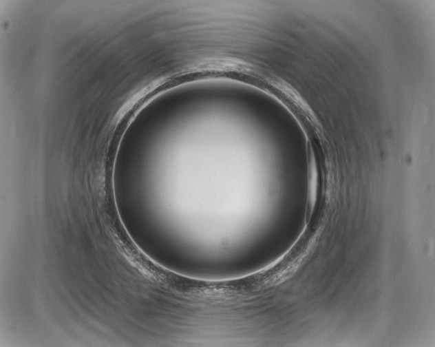 X0000086070834200703231305