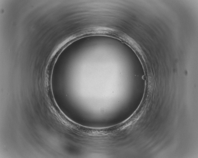 X0000086070835200703231305