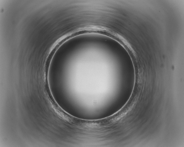 X0000086070837200703231305