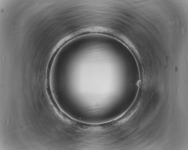 X0000086070845200703231305