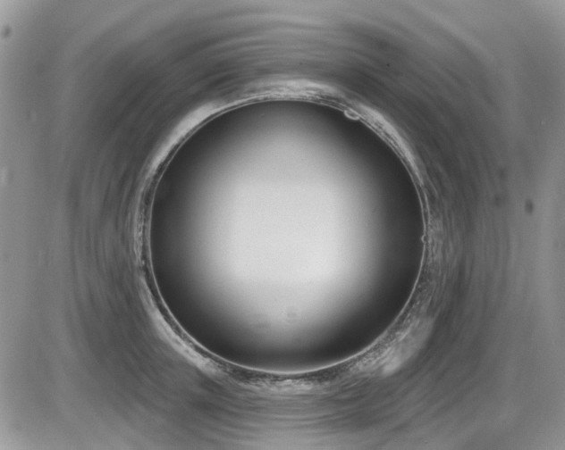 X0000086070851200703231305