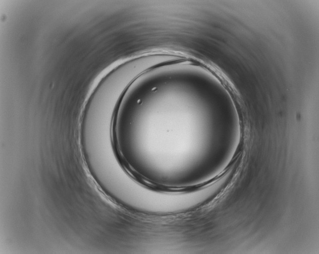 X0000086070854200703231305