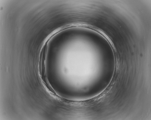 X0000086070861200703231306