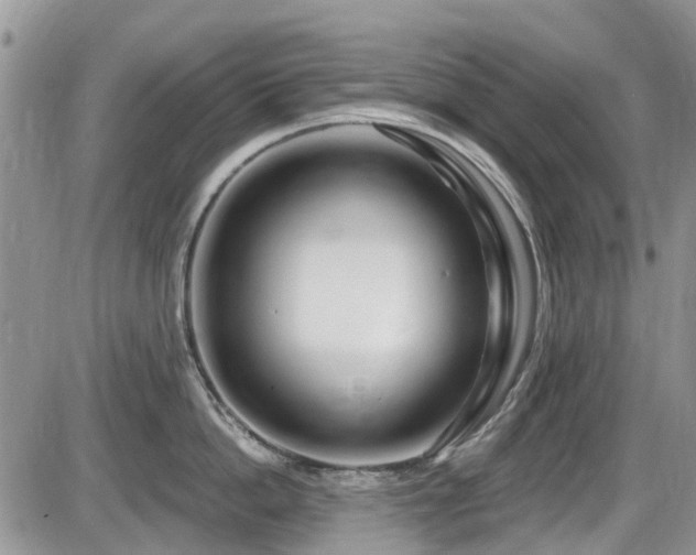 X0000086070862200703231306