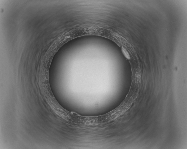 X0000086070865200703231305