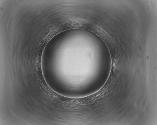 X0000086070867200703231305