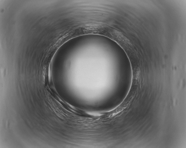 X0000086070868200703231305