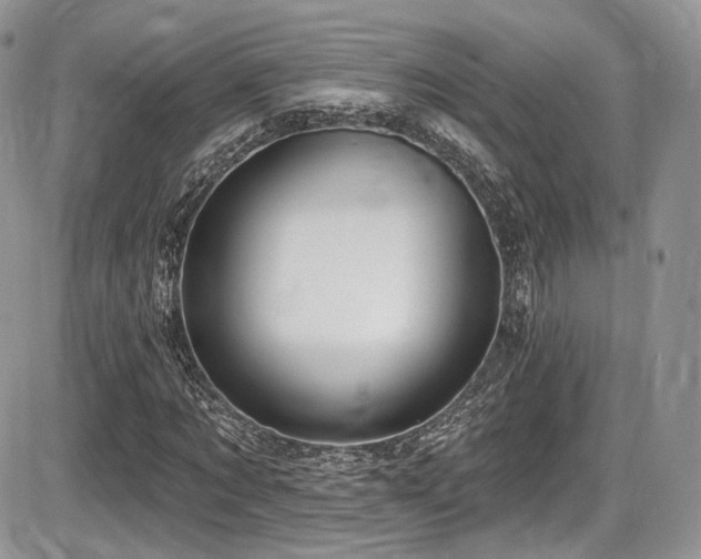 X0000086070869200703231305