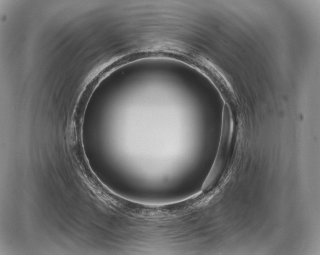 X0000086070876200703231305