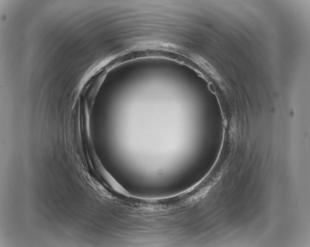 X0000086070877200703231305