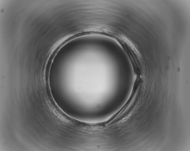 X0000086070884200703231304