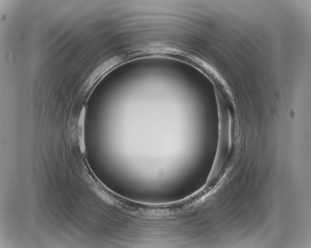 X0000086070889200703231304