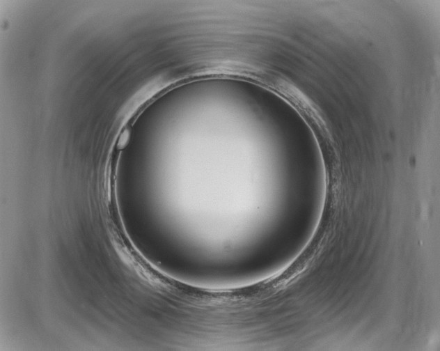 X0000086070892200703231304