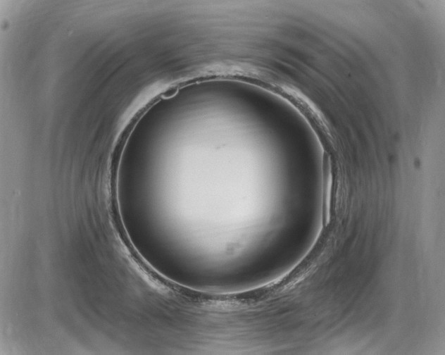 X0000086070894200703231304