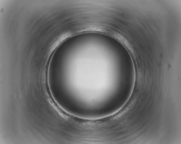 X0000086070898200703231304