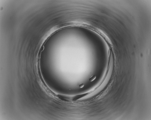 X0000086070899200703231304