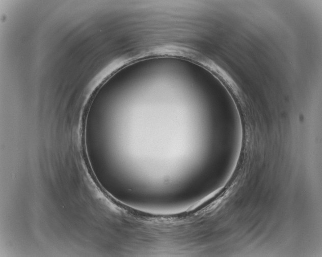 X0000086070902200703231304