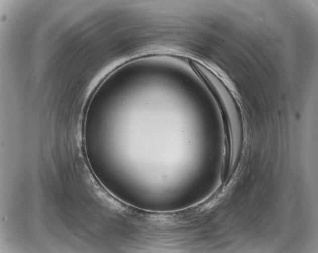 X0000086070904200703231304