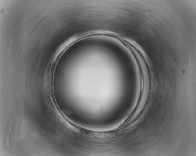 X0000086070910200703231304