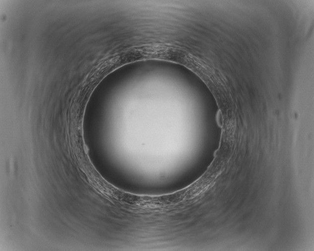 X0000086070913200703231303