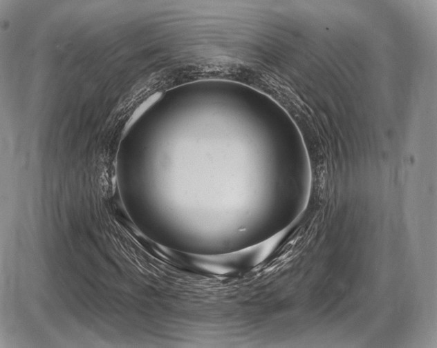 X0000086070916200703231303