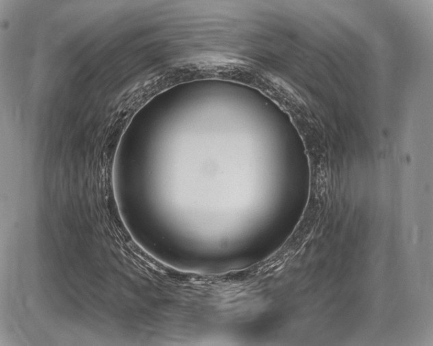 X0000086070917200703231303