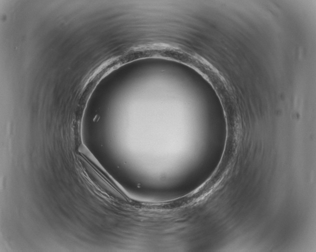 X0000086070921200703231303