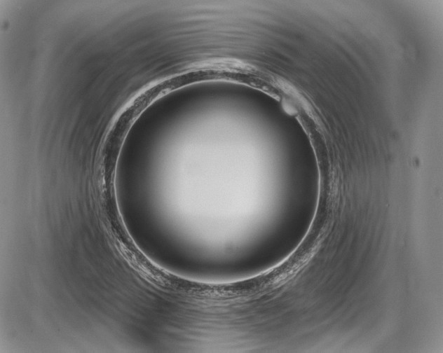 X0000086070923200703231303