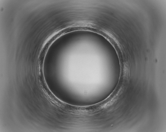 X0000086070925200703231303